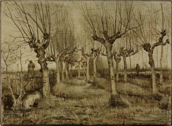 V.van Gogh, Pollard Birches / Draw./1884 a Vincent Van Gogh
