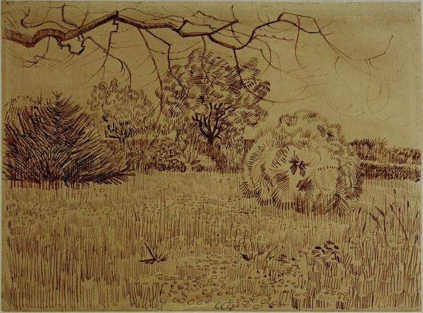 V.v.Gogh, Field w.Shrub / Drawing / 1888 a Vincent Van Gogh
