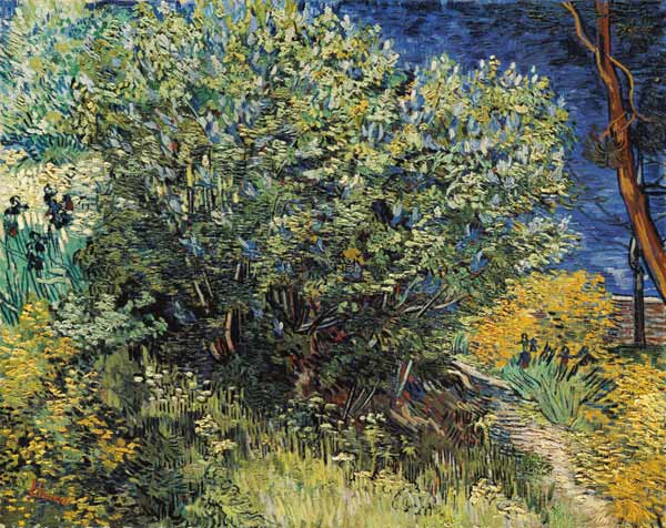 V.v.Gogh / Lilacs / Painting / 1889 a Vincent Van Gogh