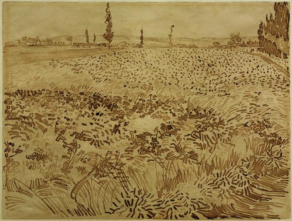 V.v.Gogh, Wheat Field / Drawing / 1888 a Vincent Van Gogh