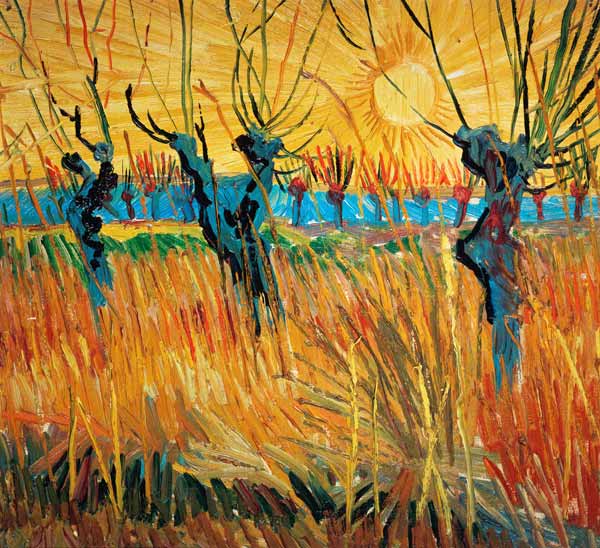 Salici al tramonto a Vincent Van Gogh