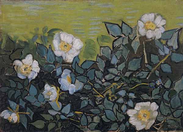 Rose selvagge a Vincent Van Gogh