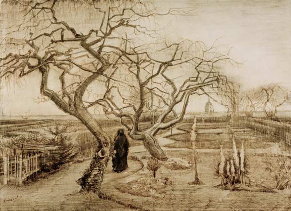 V.van Gogh, Winter Garden / Draw./ 1884 a Vincent Van Gogh