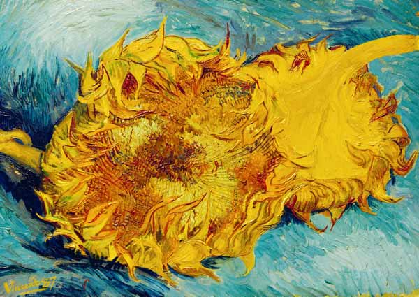two sunflowers cut off a Vincent Van Gogh