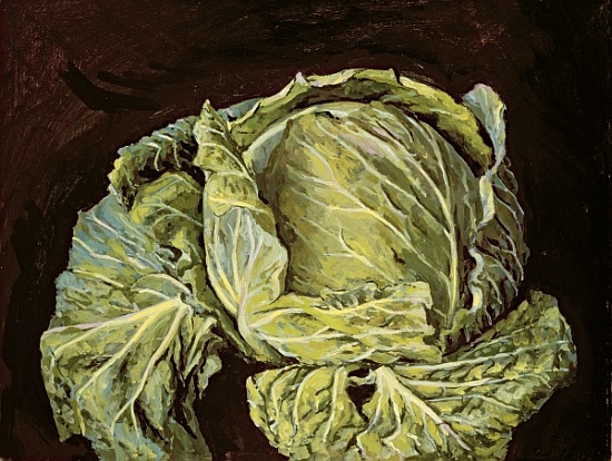Cabbage Still Life a  Vincent  Yorke