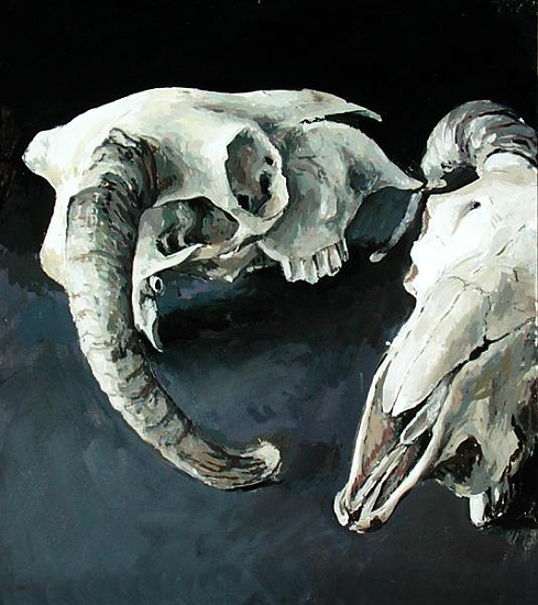 Sheep Skulls a  Vincent  Yorke