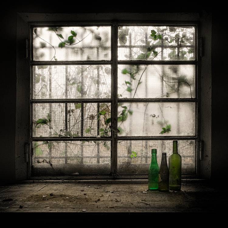 Still-Life with glass bottle a Vito Guarino