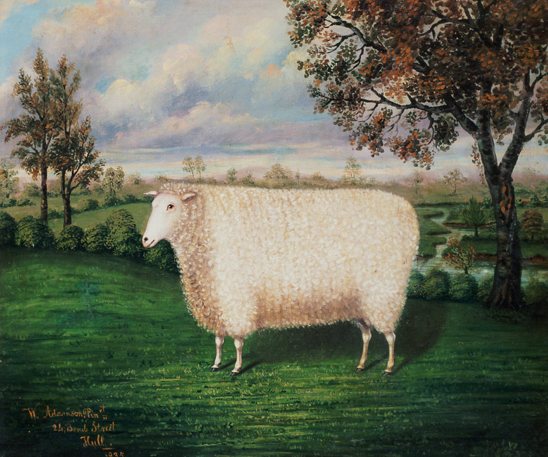 A Prize Sheep of the Old Lincoln Breed a W. Adamson