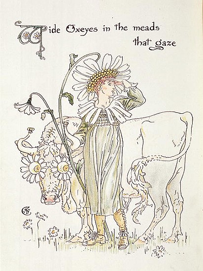 ''Wild Oxeyes in Meads that Gaze'', illustration to ''Flora''s Feast, A Masque of Flowers'' a Walter Crane