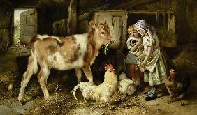 Children feed a calf and chickens