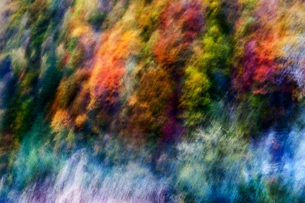 COLORFUL FOREST a Wei He
