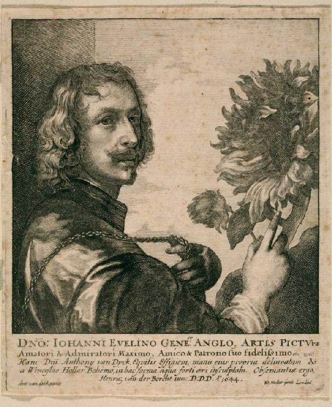 Selbstbildnis Anthonis van Dyck mit Sonnenblume (nach dem Gemälde von 1632, London, National Gallery a Wenzel Hollar