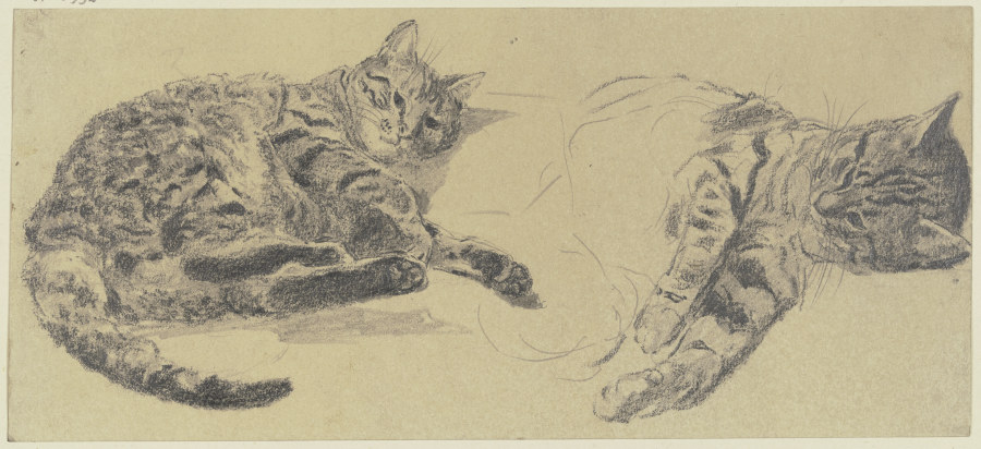 Studies of cats a Wilhelm Gentz