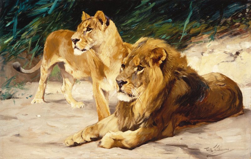 Löwenpaar. a Wilhelm Kuhnert