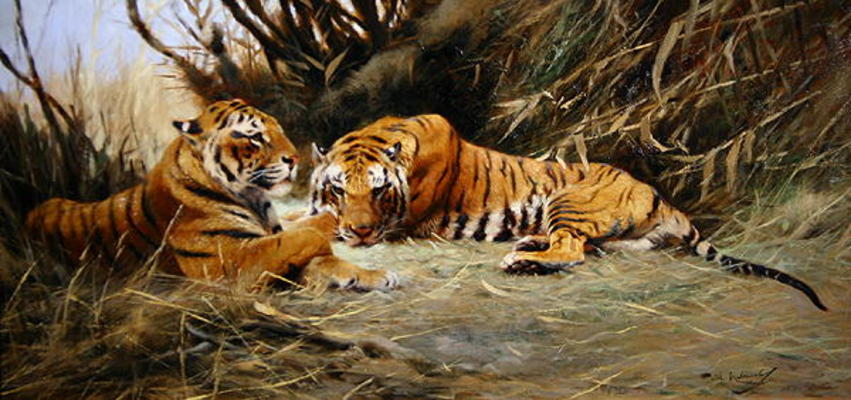 Siberian Tigers, 1913 (oil on canvas) a Wilhelm Kuhnert