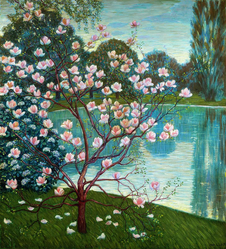 Magnolia a Wilhelm List