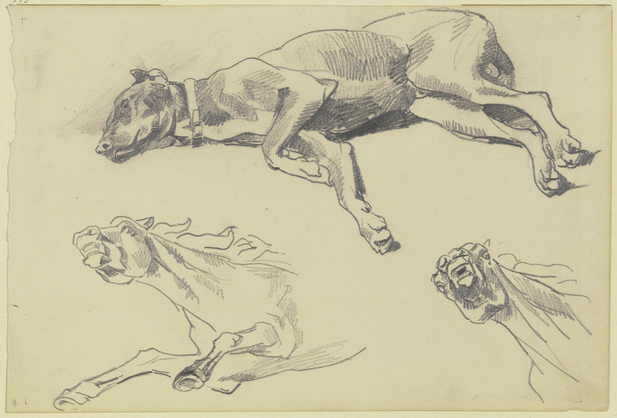Studienblatt: Die Dogge Cäsar, auf der Seite liegend nach links, schlafend; darunter zwei Pferdestud a Wilhelm Trübner