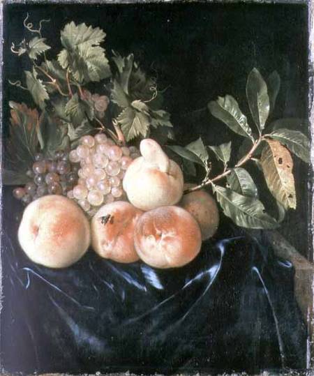 Still Life with Peaches and Grapes a Willem Frederik van Royen