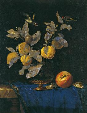 Still Life with Fruit