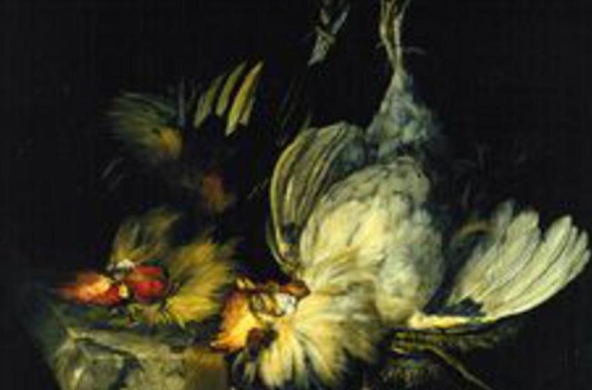 Willem van Aelst