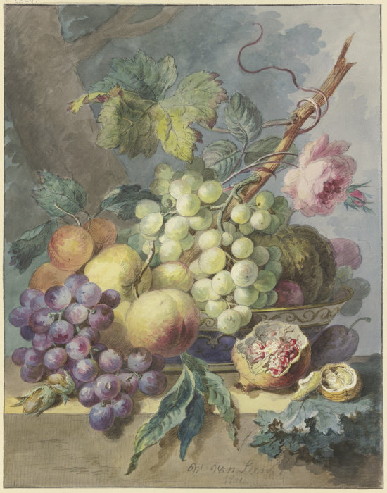 Fruchtstück mit Trauben, Pfirsichen usw., dabei eine Rose a Willem van Leen