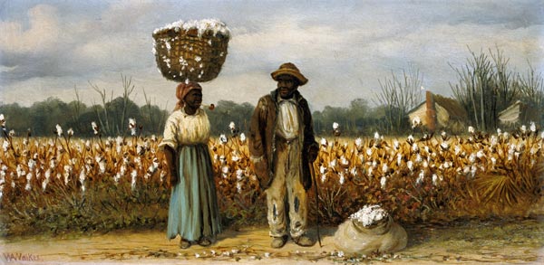 At the cotton harvest a William Aiken Walker