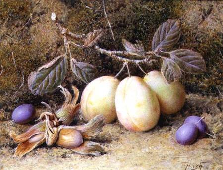 Still Life with plums and nuts a William B. Hough