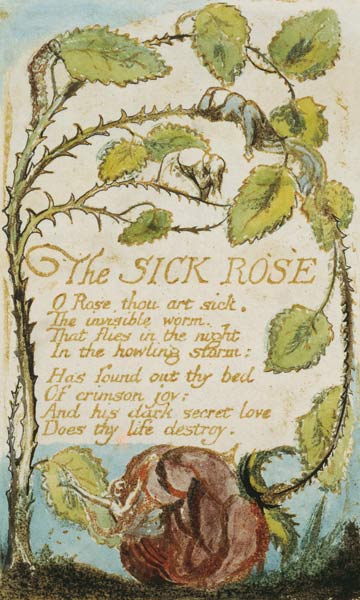 The Sick Rose, from Songs of Innocence a William Blake
