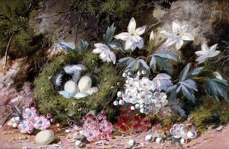 Still Life with Bird's Nest a William Cruikshank