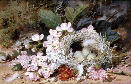 Still Life of Bird's Nest with Primulas a William Cruikshank
