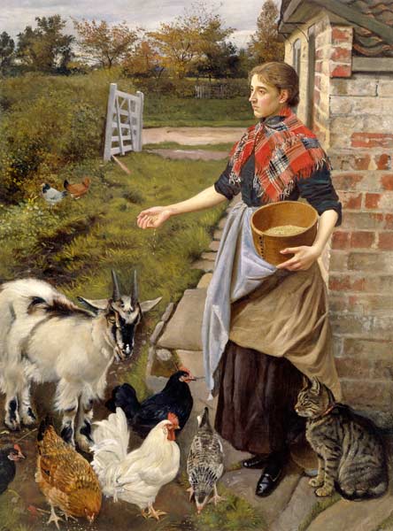 Feeding the Chickens a William Edward Millner