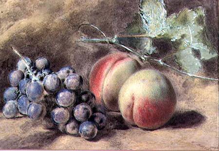 Grapes and Peaches a William Henry Hunt