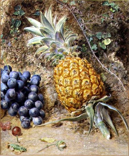 Grapes and a Pineapple a William Henry Hunt