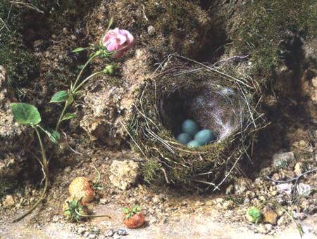 Still life with bird's nest a William Henry Hunt
