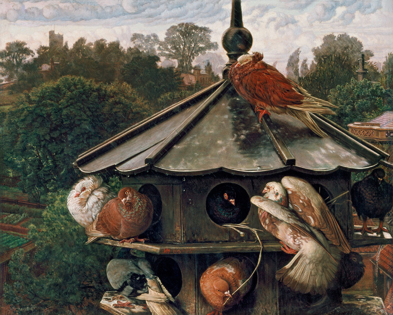 The Festival of St. Swithin or The Dovecote a William Holman Hunt