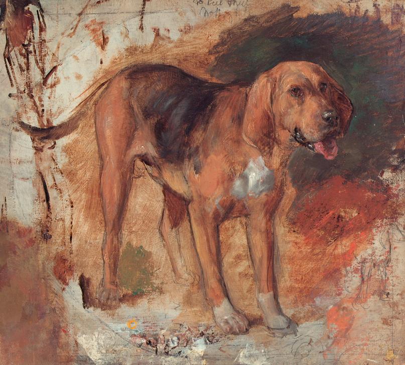 Study of a bloodhound (Studie eines Bluthundes od. Schweißhundes) a William Holman Hunt
