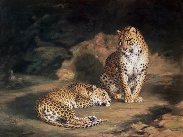 A Pair of Leopards a William Huggins
