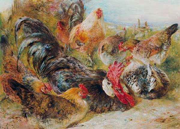 Poultry a William Huggins