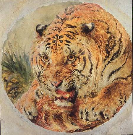 Tiger's Head a William Huggins