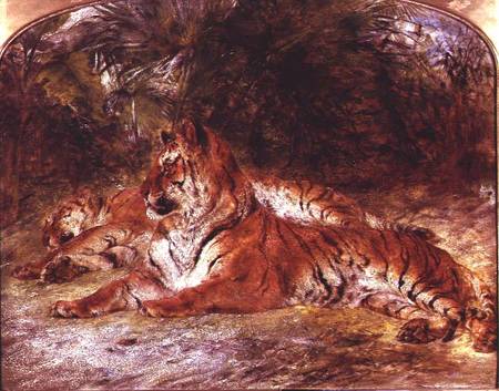 Tigers a William Huggins