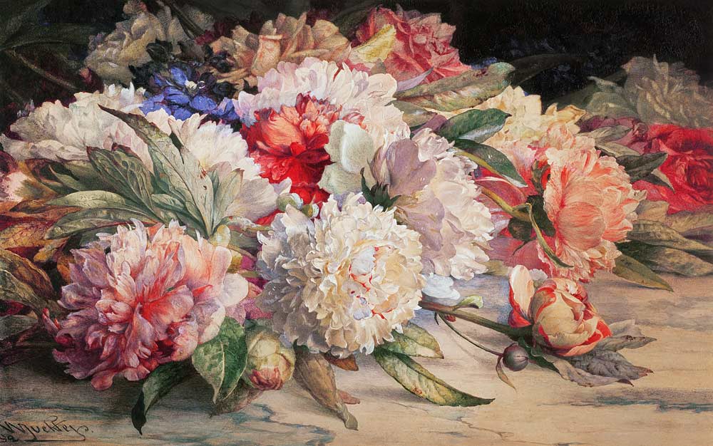 Peonies, 1892 (pencil, w/c, heightened with white & gum arabic on a William Jabez Muckley