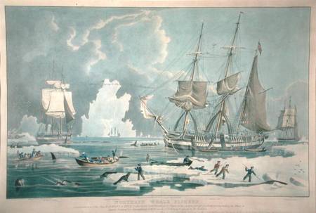 Northern Whale Fishery, engraved by E. Duncan a William John Huggins