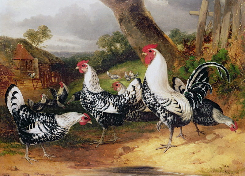 Cockerels in a Landscape a William Joseph Shayer