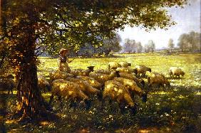 The Shepherdess