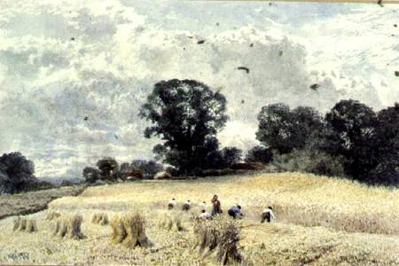 The Harvest a William Paton Burton