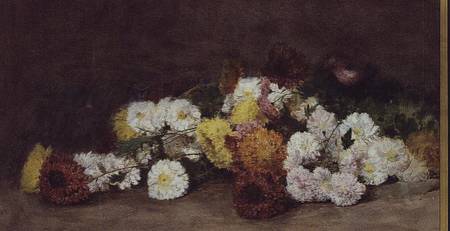 Chrysanthemums a William Rathjens