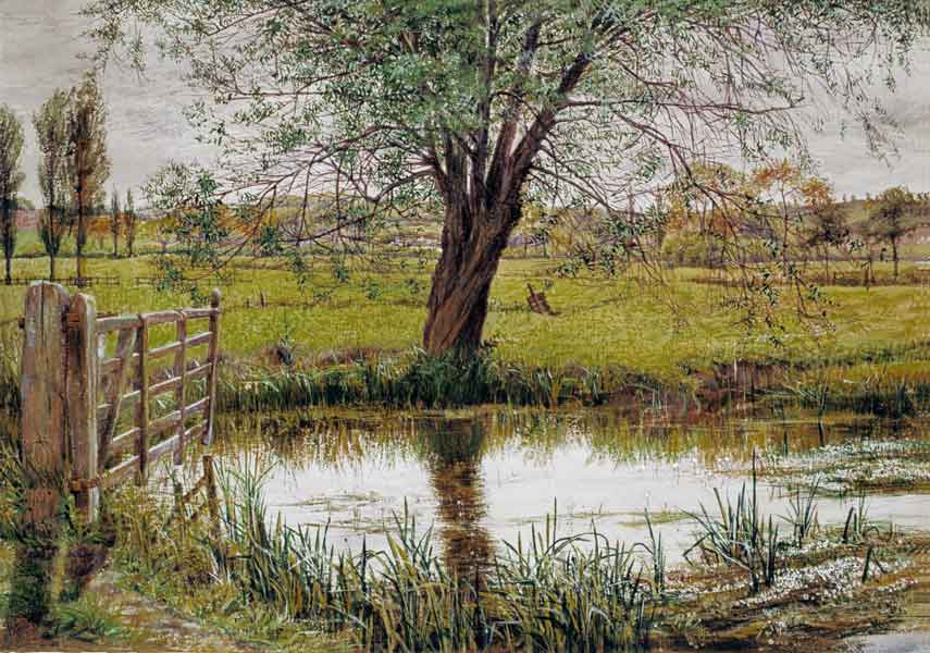 Water Meadow a William Scott