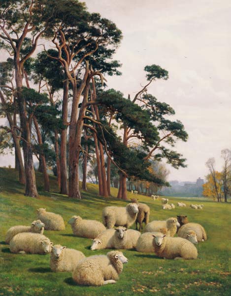 Sunlit Pastures a William Sidney Cooper