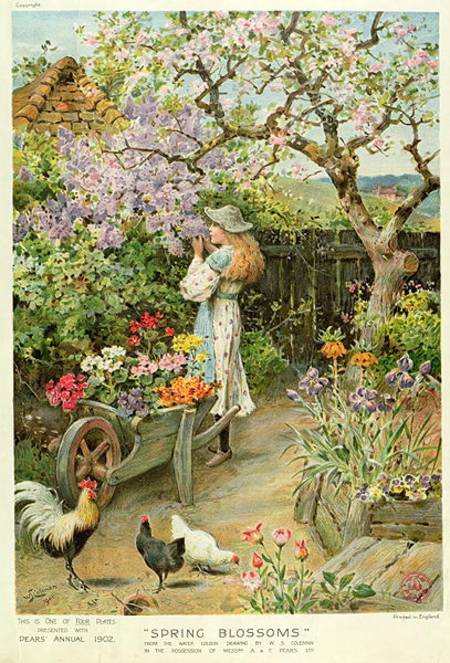 Spring Blossoms, from the Pears Annual a William Stephen Coleman