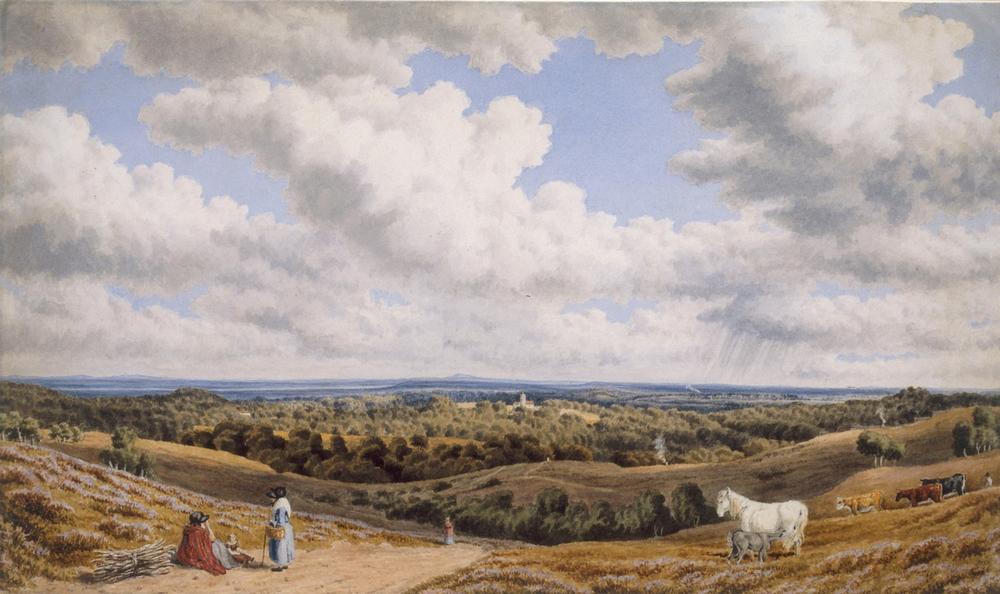 Heath Scene near Minstead in the New Forest looking Towards a William Turner of Oxford